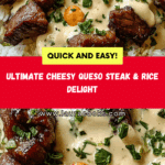 Steak & Queso Rice (Print) Recipe