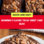 Texas Sheet Cake (+Video) Recipe
