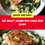 One Skillet Salmon with Lemon Orzo Recipe