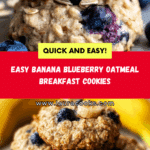 Delightful Banana Blueberry Oatmeal Breakfast Cookies Recipe