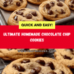 The Best Chocolate Chip Cookie Recipe Ever Recipe