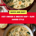 Chicken and Gnocchi Soup Recipe