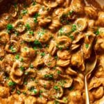 French Onion Pasta Recipe