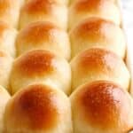 1-Hour Soft and Buttery Dinner Rolls Recipe