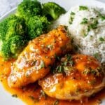 Honey Garlic Chicken Recipe