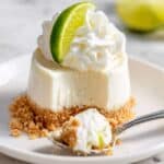 Easy Mini No-Bake Key Lime Pie Recipe