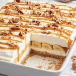 Apple Delight Summer Dessert Recipe