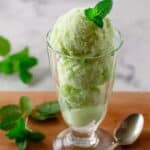 Cucumber Mojito Sorbet Recipe
