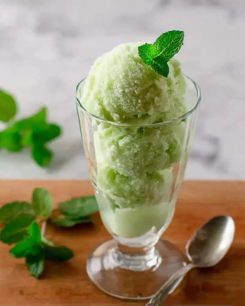 Cucumber Mojito Sorbet Recipe