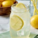 Refreshing Lemonade Shake-Ups Recipe