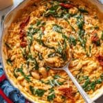 Marry Me Orzo Recipe