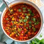 Vegetarian Chili Recipe